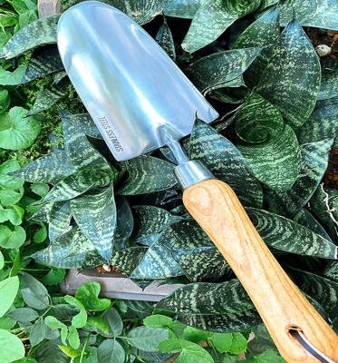 China Durable Rose Arches Garden Stainless Steel Hand Trowel Transplanter for sale