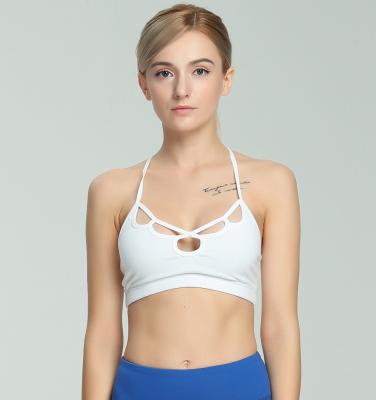 China Cheap wholesale front sexy cutout detail cheap ladies sports bra for sale