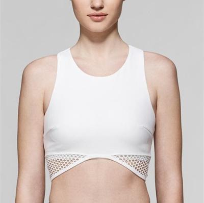 China women gym crop top breathable wicking crop tops gym women for sale