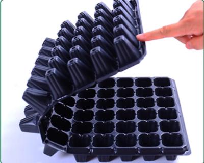 China Eco-Friendly Cucumber tomato pepper 50cells 72cells seedling trays any size can be customized seedling tray for sale