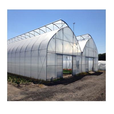 China Easy to install High quality tunnel greenhouse singe span plastic film greenhouse for agriculture for sale