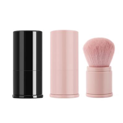 China Hot Selling Mini Travel Beauty Face Care Makeup Tools Portable Retractable Multifunctional Makeup Brush Daily Life for sale