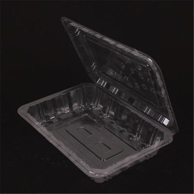 China Recycled Materials Clear Clear Plastic Biodegradable Packaging For Cakes for sale