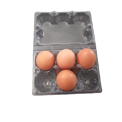 China Food Clear Disposable Plastic Perforated Premium Egg Tray Eco - Friendly for sale