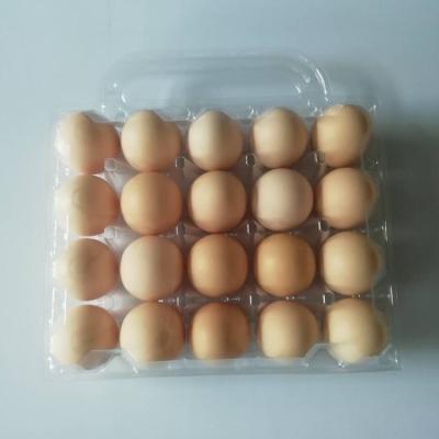 China Plastic Egg 20 Cell Egg Trays With Handle for sale