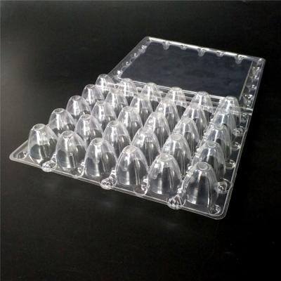 China 20 Holes Disposable Wholesale Clear Plastic Quail Egg Cartons For Sale for sale