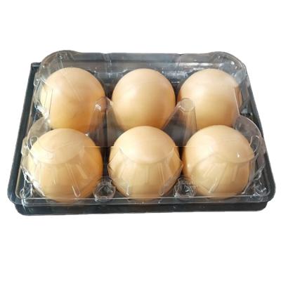 China Agriculture 6 Holes Divided Plastic Chicken Eggs Duck Eggs Tray for sale