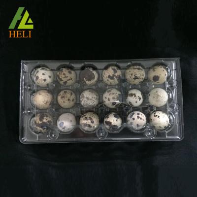 China Disposable Clear Plastic PVC Quail Egg Tray for sale