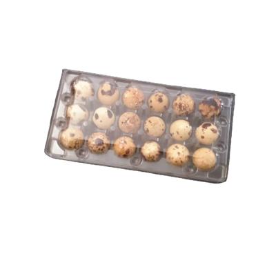 China Disposable Plastic Packaging Coturnix Quail Egg Container for sale