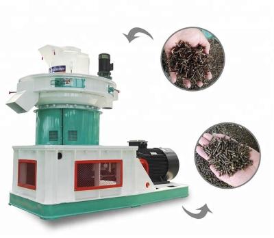 China Make Biomass Pellets Thailand Wood Pellet Mill Machine Design By Kingoro for sale