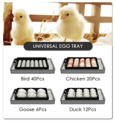 China 20 Eggs Microcomputer Control Small Capacity Egg Incubadoras Egg Incubator Machine Controller Automatic Hatching Eggs for sale