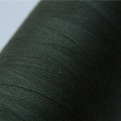 Κίνα FireProof Yarn With Low Moisture Absorption And Carton Package προς πώληση