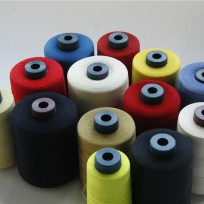 Китай High Quality Aramid Thread in Various Sizes and Colors for Industrial Use продается