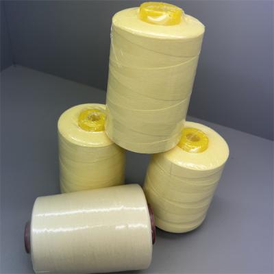 Cina Filo della macchina per cucire di Ne30/2 Para Aramid per il cucito con il film di restringimento in vendita