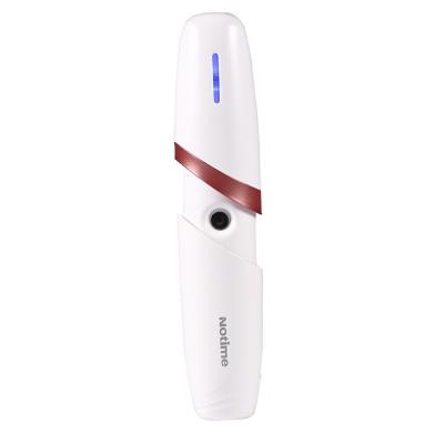 China Wholesale New Beauty Professional Portable Electric Facial Care Mini Anti-puffiness Nano Sprayer for sale