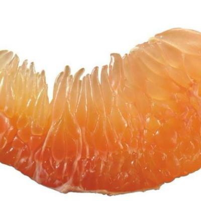 China D.W.60% canned 3kg canned honey grapefruit bags for jam for sale