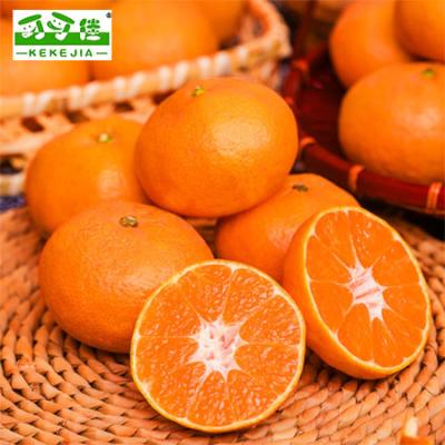 China High quality orange bags in box for orange juice juicer machine for sale