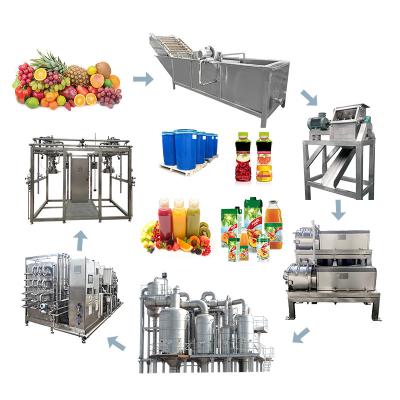 중국 500 Tons Per Day Grape Juice And Jam Production Line SUS304 Special Equipment For Grape Processing Plants 판매용