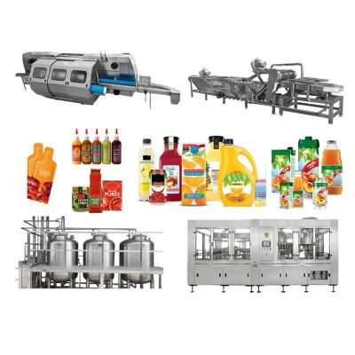 China NFC Tomato Juice Processing Production Line Complete Set Of Cleaning Peeling And Juicing Machine SUS304 for sale