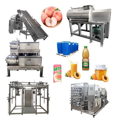 China NFC Peach Juice Processing Line Peach Processing Factory Dedicated Cleaning Peeling And Juicing Processing Machine for sale