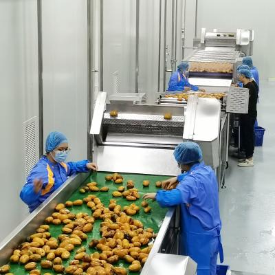 China Industrial Fruit Processing Line Juice Jam Dried Fruit Machine for Mango Processing Plant for sale
