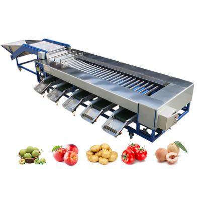 China Industrial Tomato Roller Sorting Machine For Fruits And Vegetables Processing Line SUS304 for sale