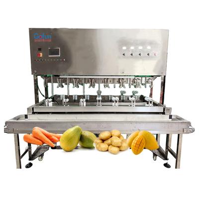 China Mitsubishi PLC Apple Automatic Peeling Machine For Fruits And Vegetables Processing Lines SUS304 for sale