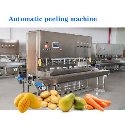 China Stainless Steel Mango Peeling Machine For Fruits And Vegetables Processing Lines for sale