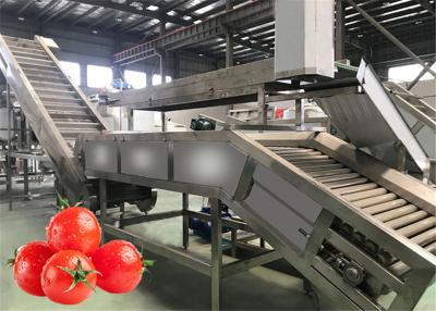 Cina 1 tonnellata per linea passata di pomodoro di trasformazione dei vegetali di ora che fa tensione su misura macchina in vendita