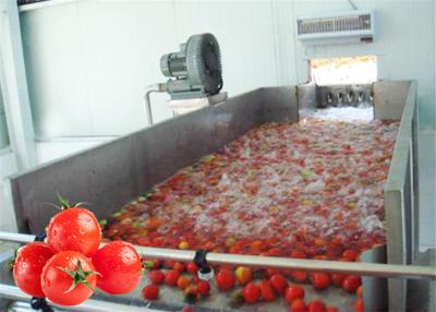 Cina Linea attrezzatura di trasformazione dei vegetali dell'acciaio inossidabile 380V di elaborazione del pomodoro in vendita