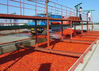 Cina Alta linea linea di trasformazione dei vegetali di Effiency di produzione del concentrato di pomodoro con il sistema del riempimento asettico in vendita