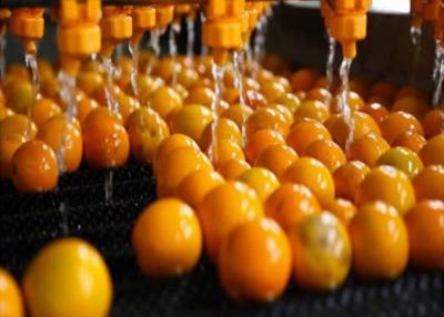 China Máquina de linha de processamento de sumo de laranja totalmente automática para plantas de processamento de cítricos à venda