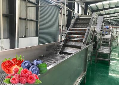 Cina Chip stabili della frutta secca di prestazione che fanno evaporazione sotto vuoto a macchina di bassa temperatura in vendita