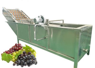 China Efficient Fruit Juice Manufacturing Plant Raisin Making Low Energy Consumption for sale