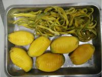 Κίνα Συγκεντρωμένος χυμός που εξάγει τη γραμμή επεξεργασίας μάγκο 25T/H προς πώληση