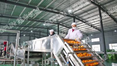 China 1-100T/D citrus processing line orange lemon juice making machine production line for sale