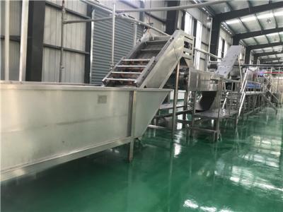 China PLC PET Bottle 600T/D Pineapple Juice Processing Line for sale