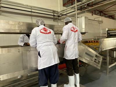 China De aangepaste Productielijn van de de Mangopulp van 10T/H SS Te koop