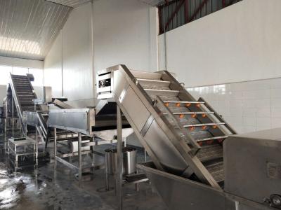 China SUS316L Apricot Mango Pulp Puree Processing Line 25t/H for sale