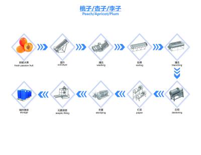 중국 Prune NFC Juice Production Line Prune Juice Processing Line SUS304 판매용