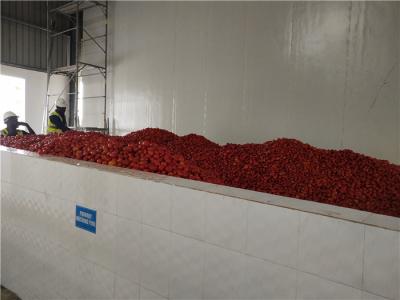 China Sgs-Tomaten-Produktlinie 2000T/D, die Ketschup-Produktlinie konzentriert zu verkaufen