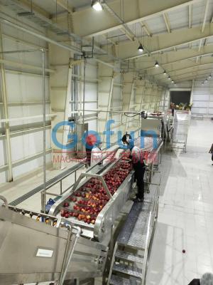 China 3T/H Apple Processing Line For Juice Complete Plant Preheating for sale