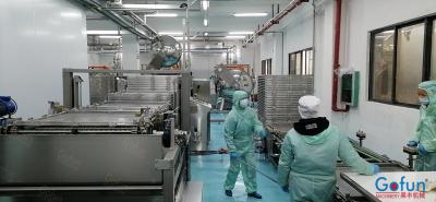 Cina Risparmio dell'acqua di Juice Processing Plant 5T/H del melograno SUS316 in vendita