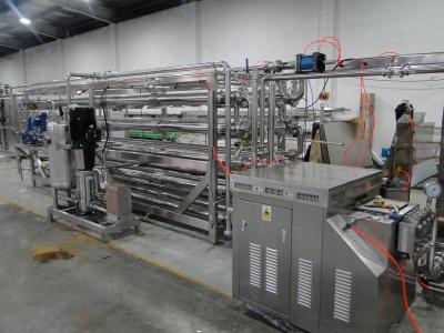 China Berry Pulp Food Grade Fruit Processing Line Processing Line Stainless Steel for sale