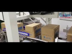 Efficient Fruit Processing Line