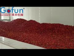 1 Ton Per Hour Vegetable Processing Line Tomato Paste Making Machine Customized Voltage