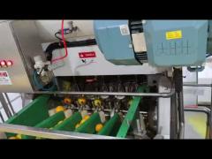 Fully automatic industrial orange juice processing production line