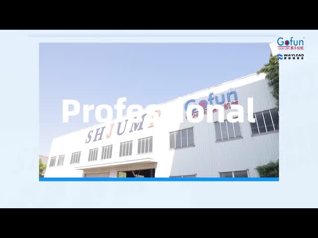 Shanghai Gofun Machinery Co., Ltd Fruit and vegetable processing machinery manufacturer from China