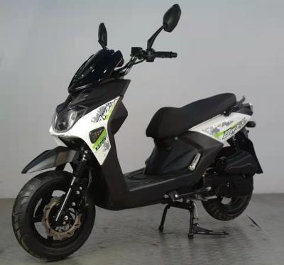 Cina Motorini di motore stati abbattuto di plastica che dipingono la doppia luce 6.4l della coda 150 cc in vendita