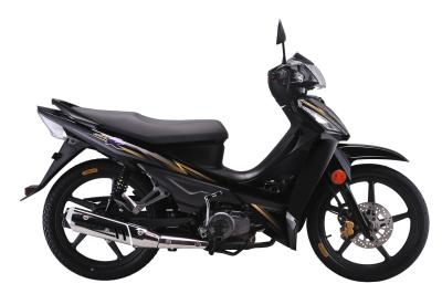 Chine 110cc en aluminium CUB superbe a broyé du noir le vélo de saleté de cadet de CUB de noir de course de Crystal Lamp Alloy Wheel 4 à vendre